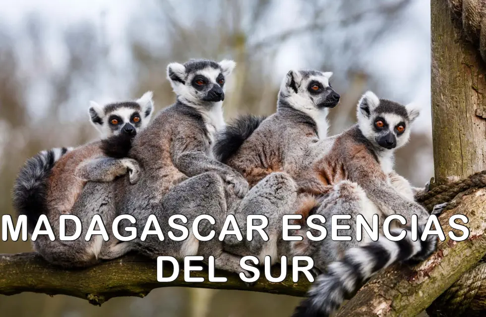 Madagascar esencias del sur. Itinerario.